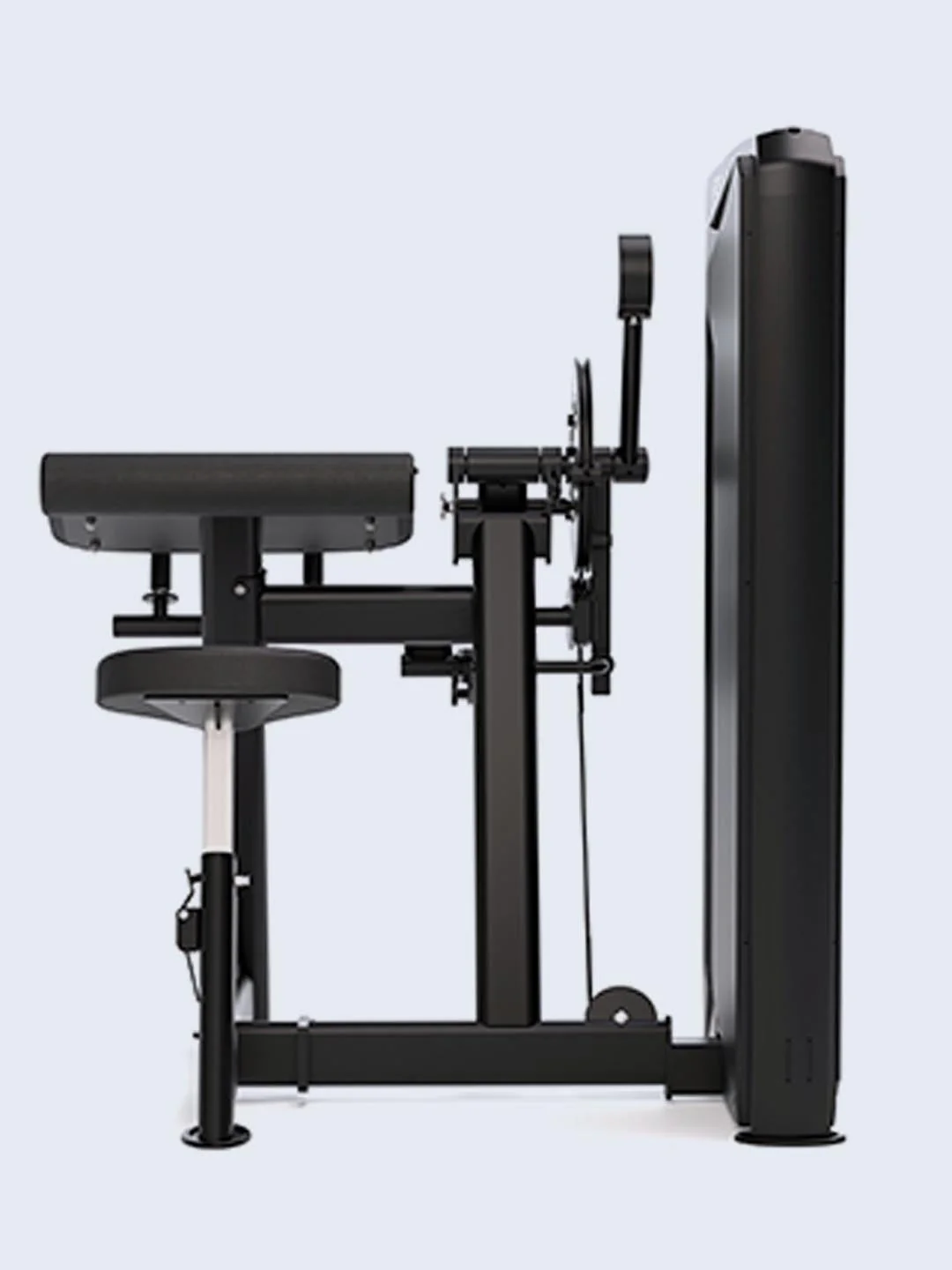 Solitude Bicep / Tricep Machine - Image 4